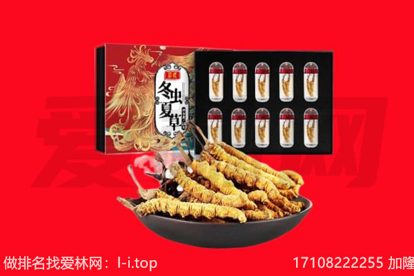贵阳市回收虫草.jpg
